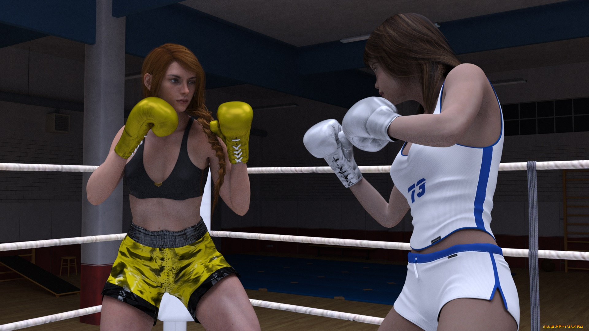 3д, графика, спорт, , sport, девушки, взгляд, фон, ринг, бокс