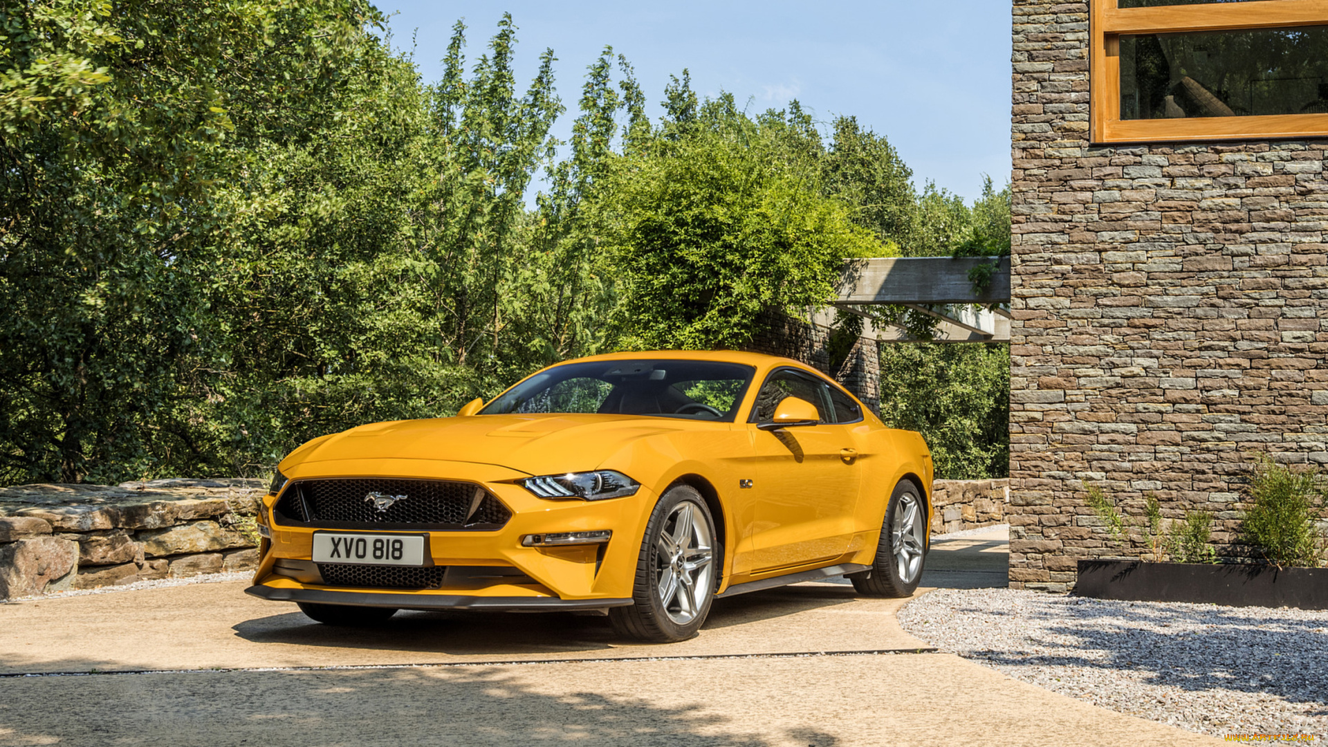 ford, mustang, gt, coupe, 2018, автомобили, ford, 2018, gt, coupe, mustang