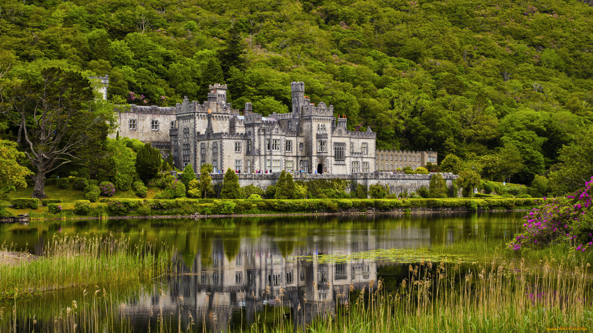 kylemore, abbey, города, -, католические, соборы, , костелы, , аббатства, река, лес