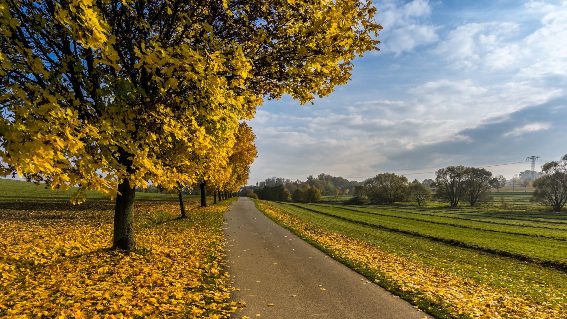 природа, дороги, дорога, дерево, осень