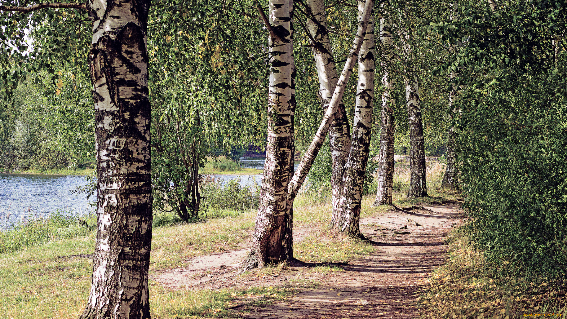 природа, дороги, простор