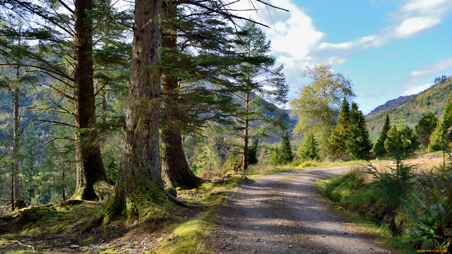 природа, дороги, простор