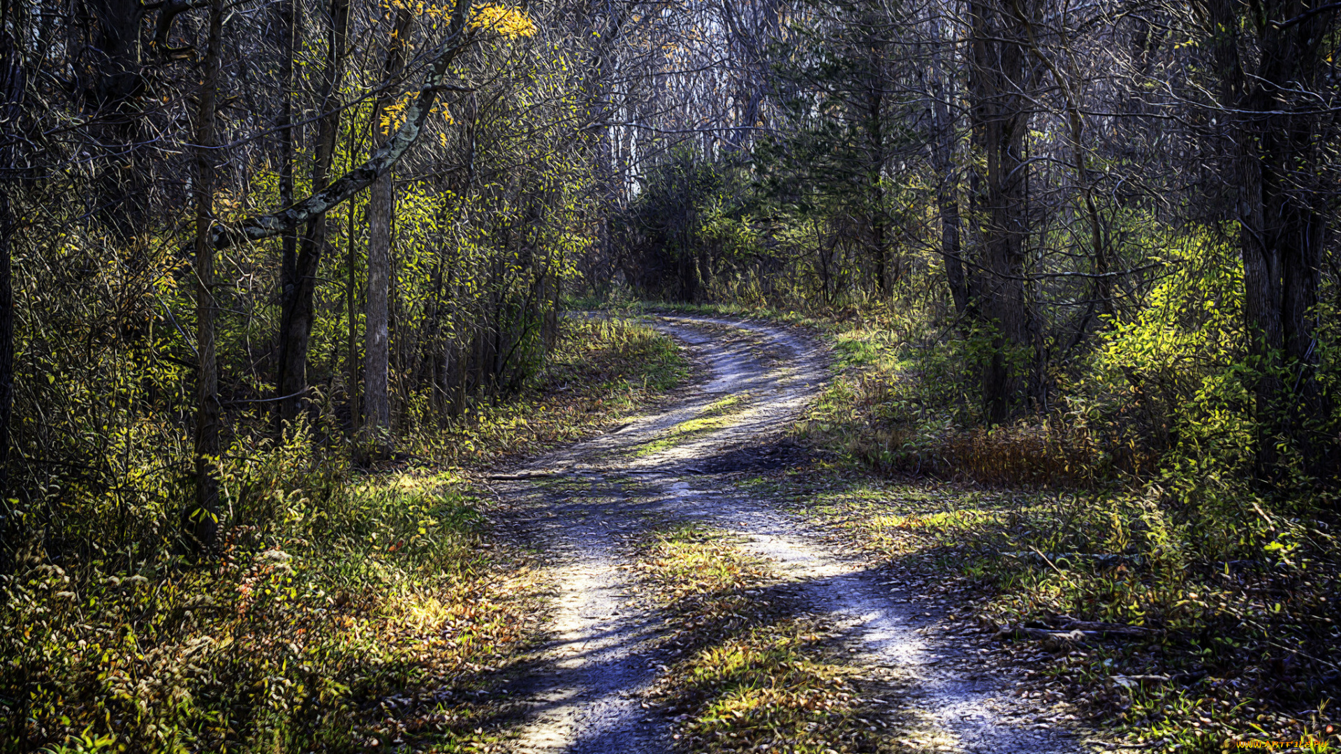 природа, дороги, простор