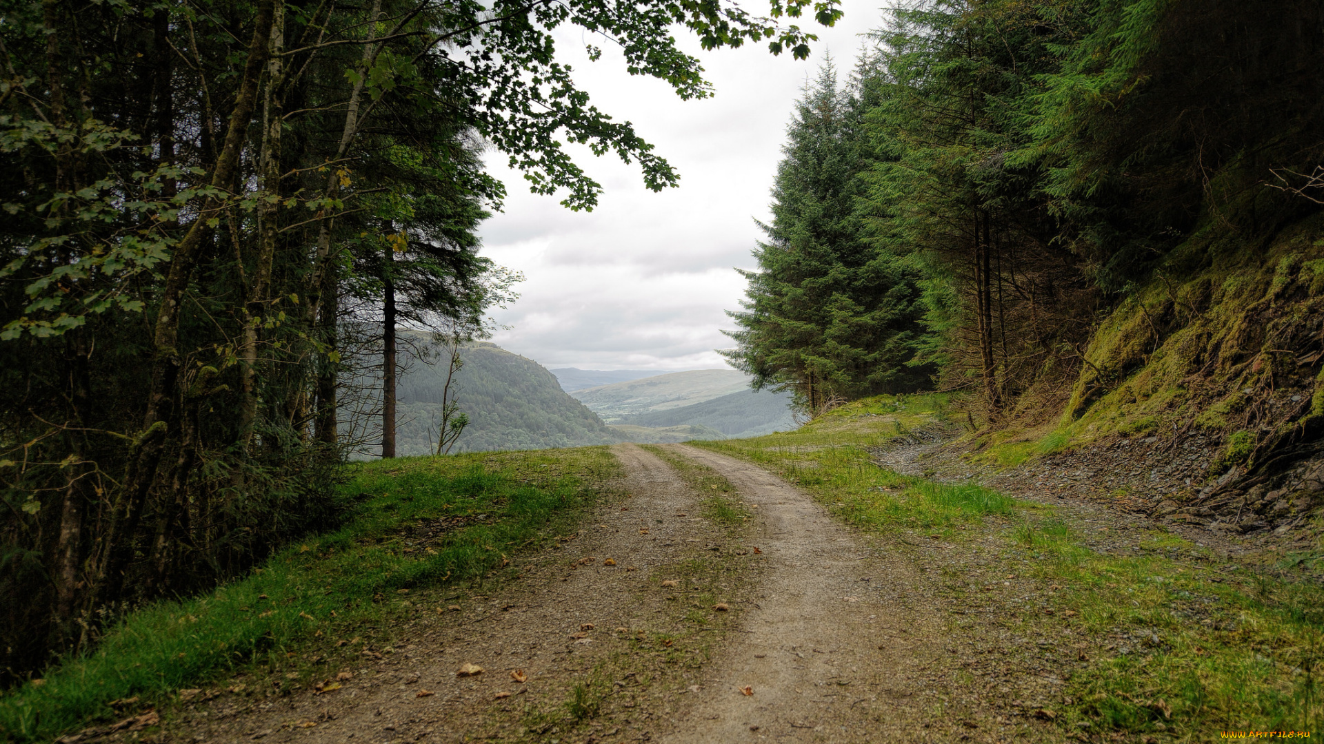 природа, дороги, простор