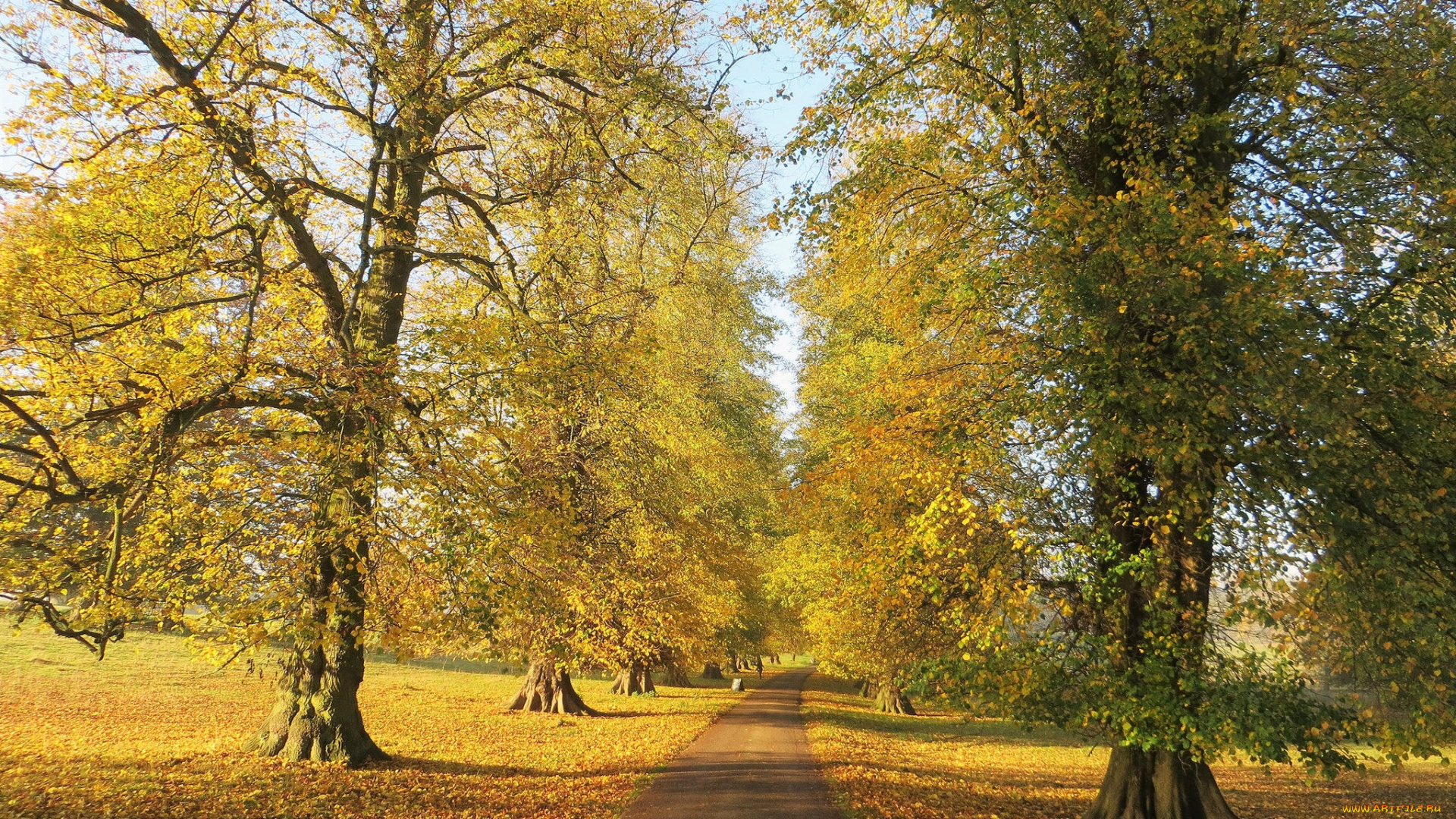 природа, дороги, простор