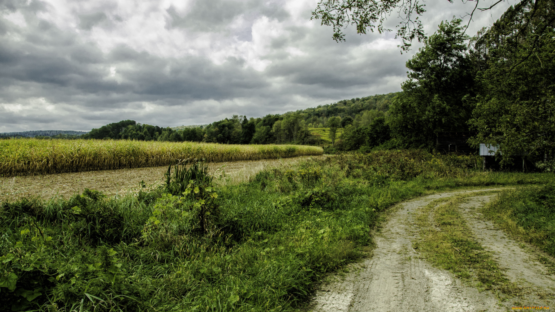 природа, дороги, простор