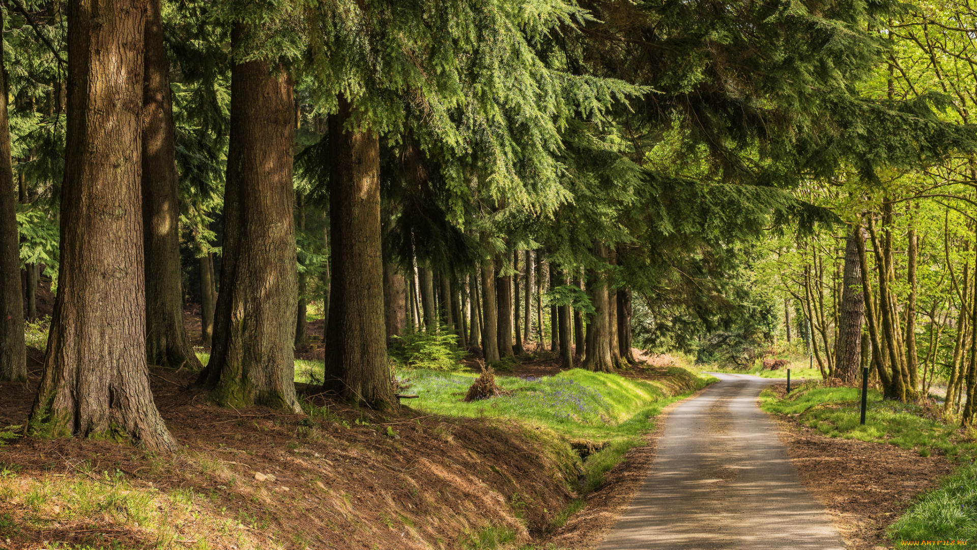 природа, дороги, простор