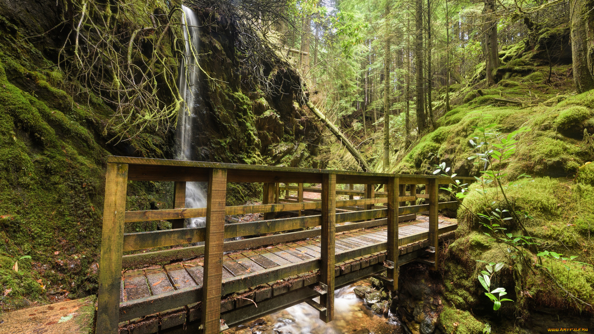 природа, дороги, простор