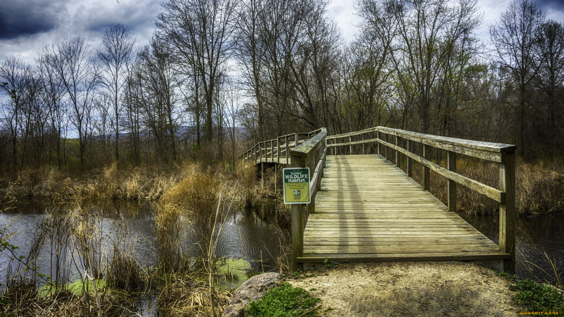 природа, дороги, простор