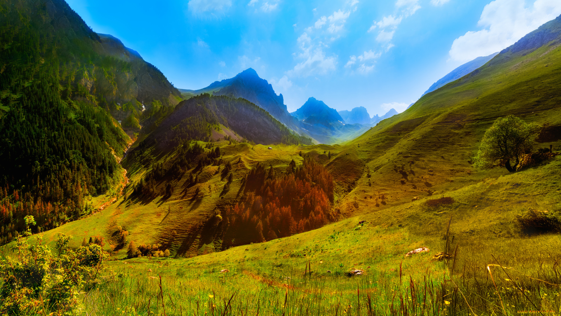 природа, горы, простор