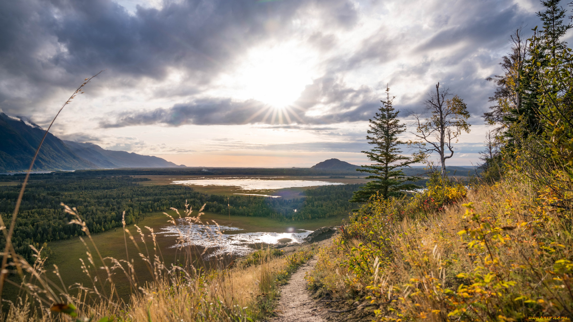 природа, пейзажи, простор