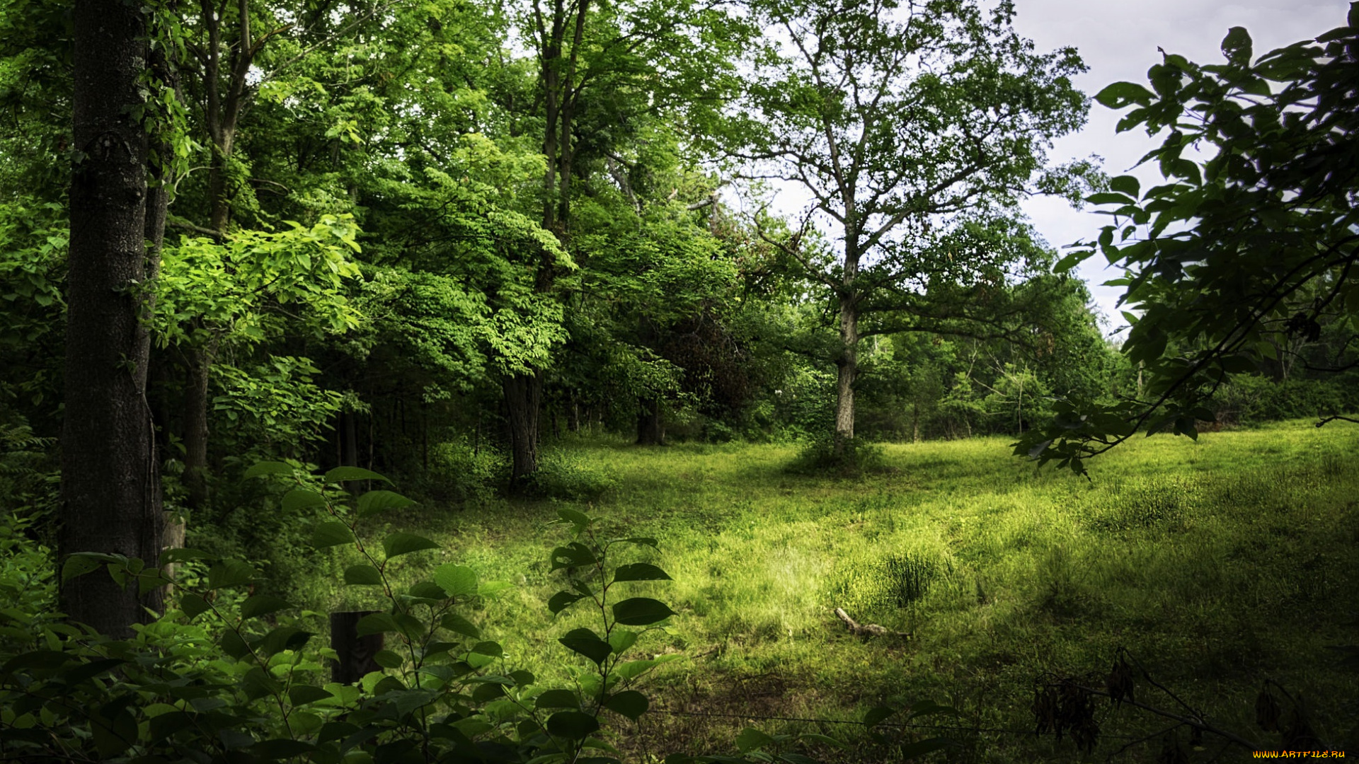 природа, пейзажи, простор