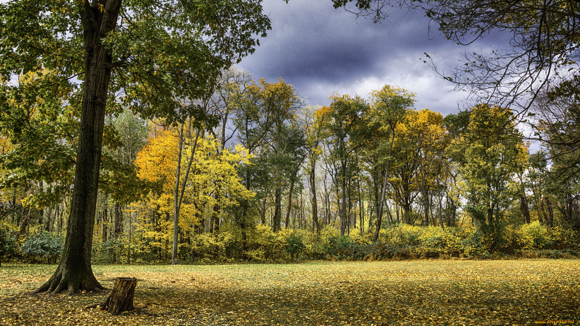 природа, пейзажи, простор