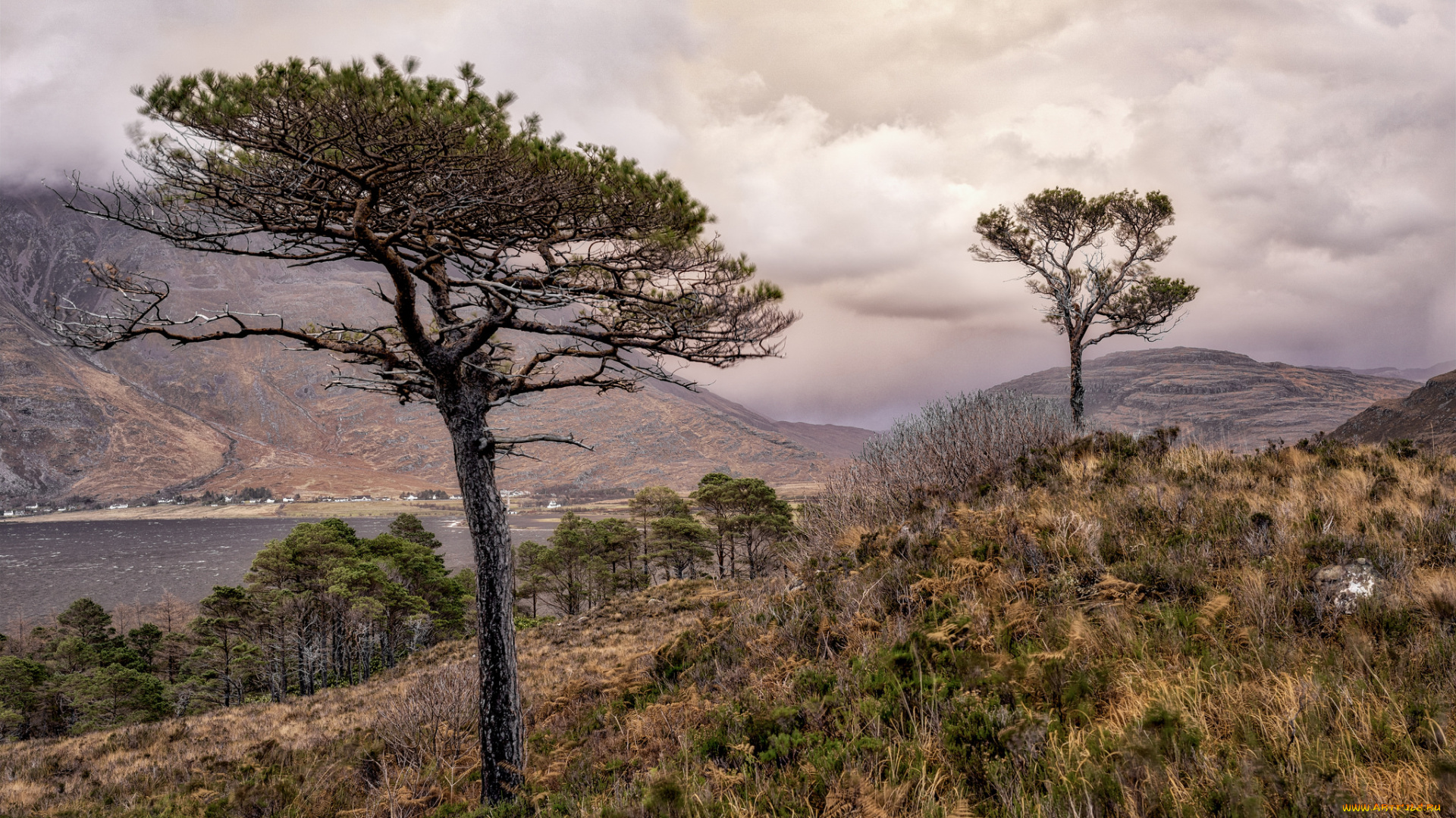 природа, пейзажи, простор