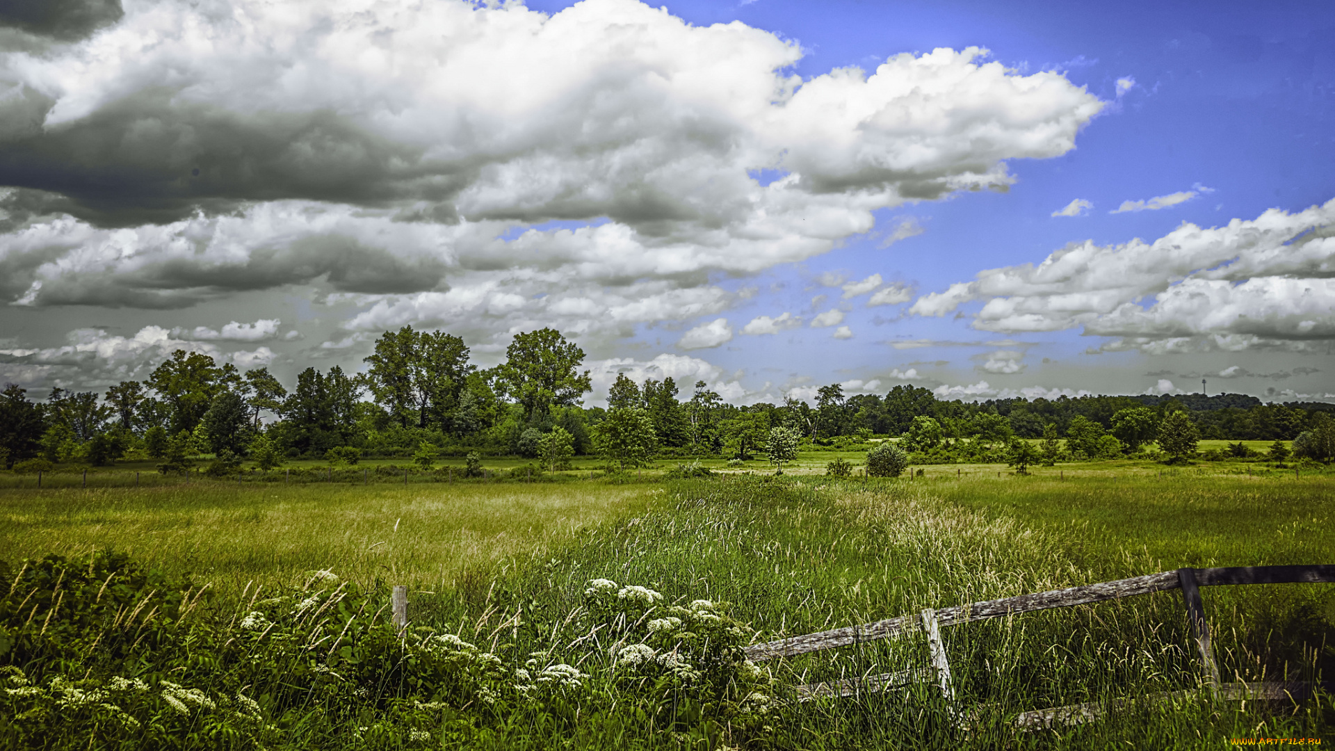 природа, пейзажи, простор