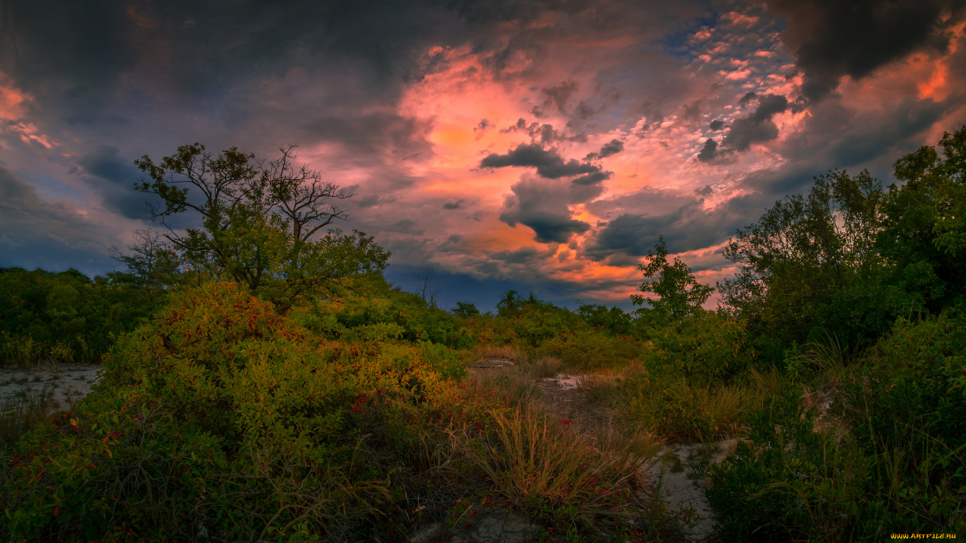 природа, пейзажи, простор