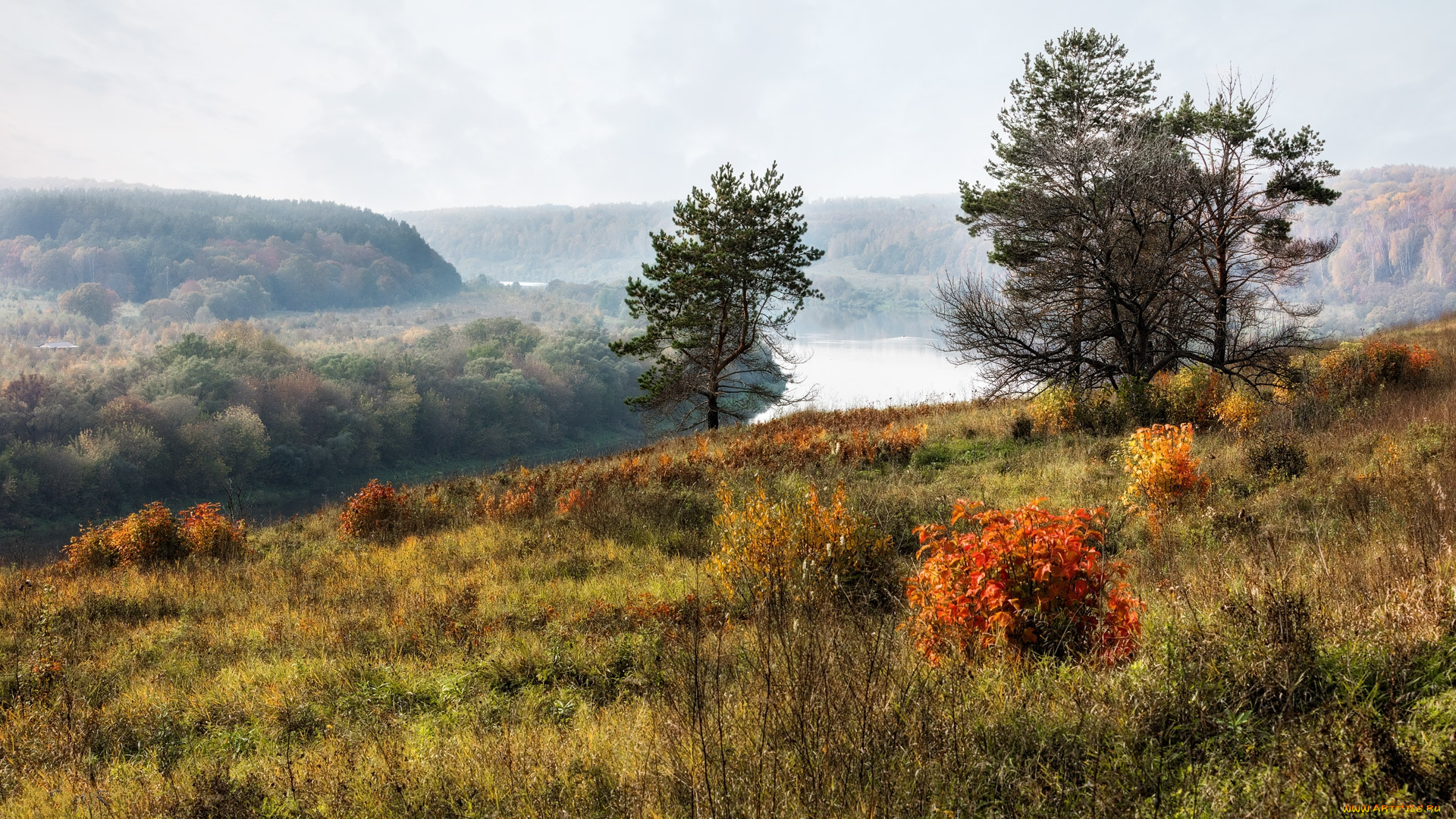 природа, пейзажи, простор