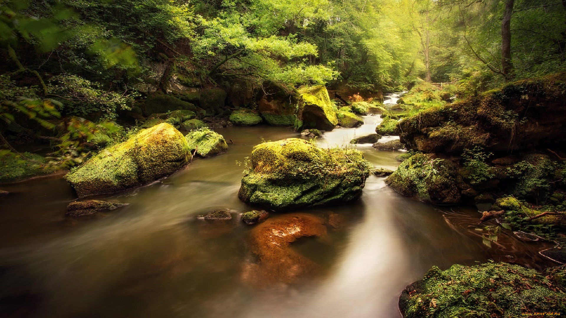 природа, реки, озера, лес, река, камни, мох, начало, осени, екатерина, ионенко