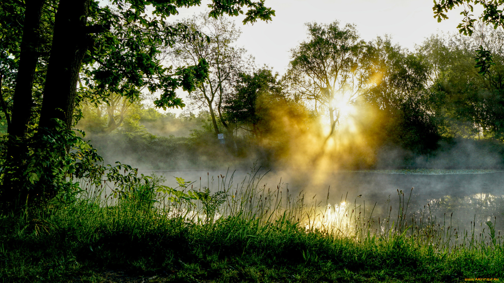 природа, реки, озера, простор