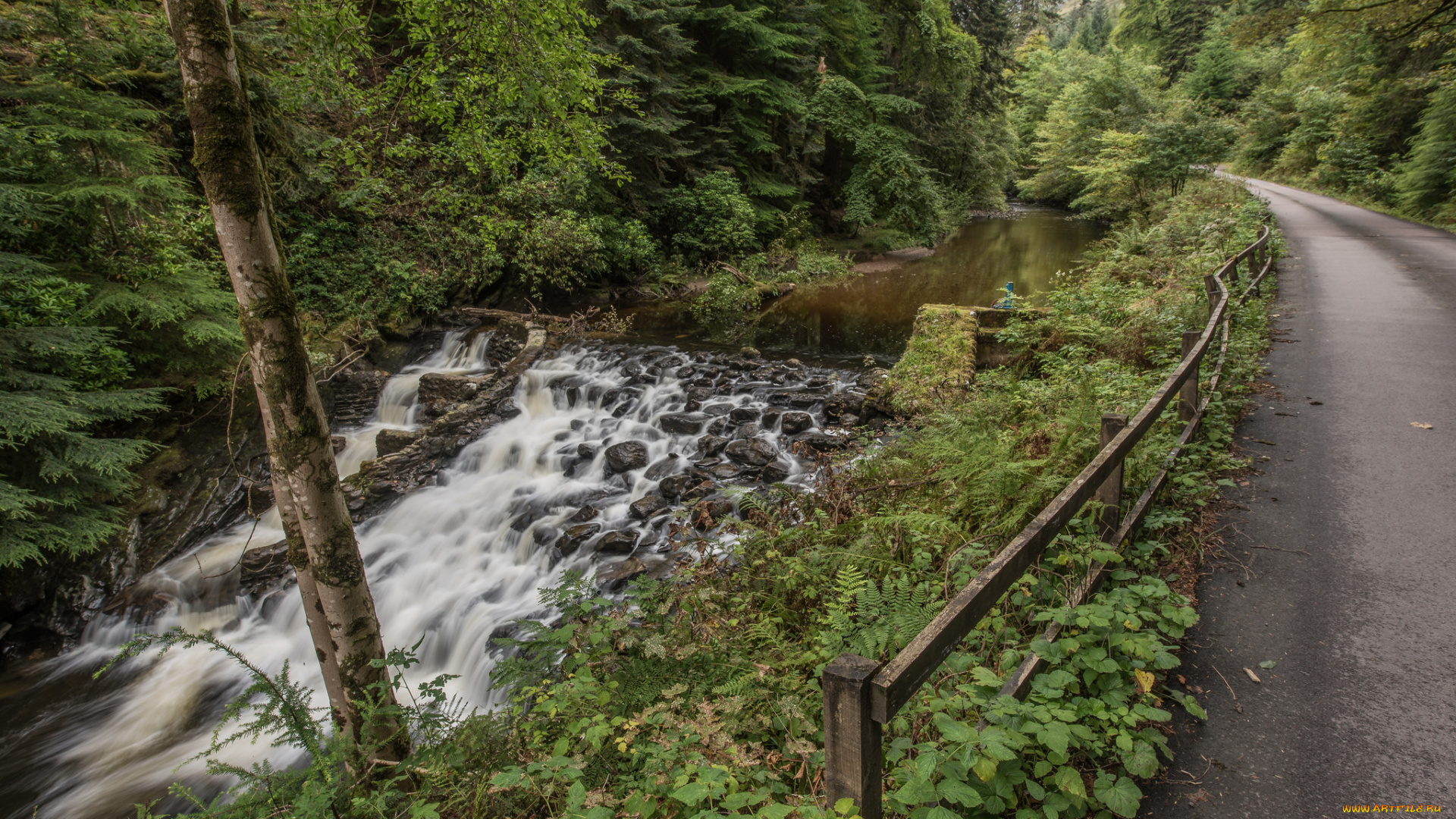 природа, реки, озера, простор