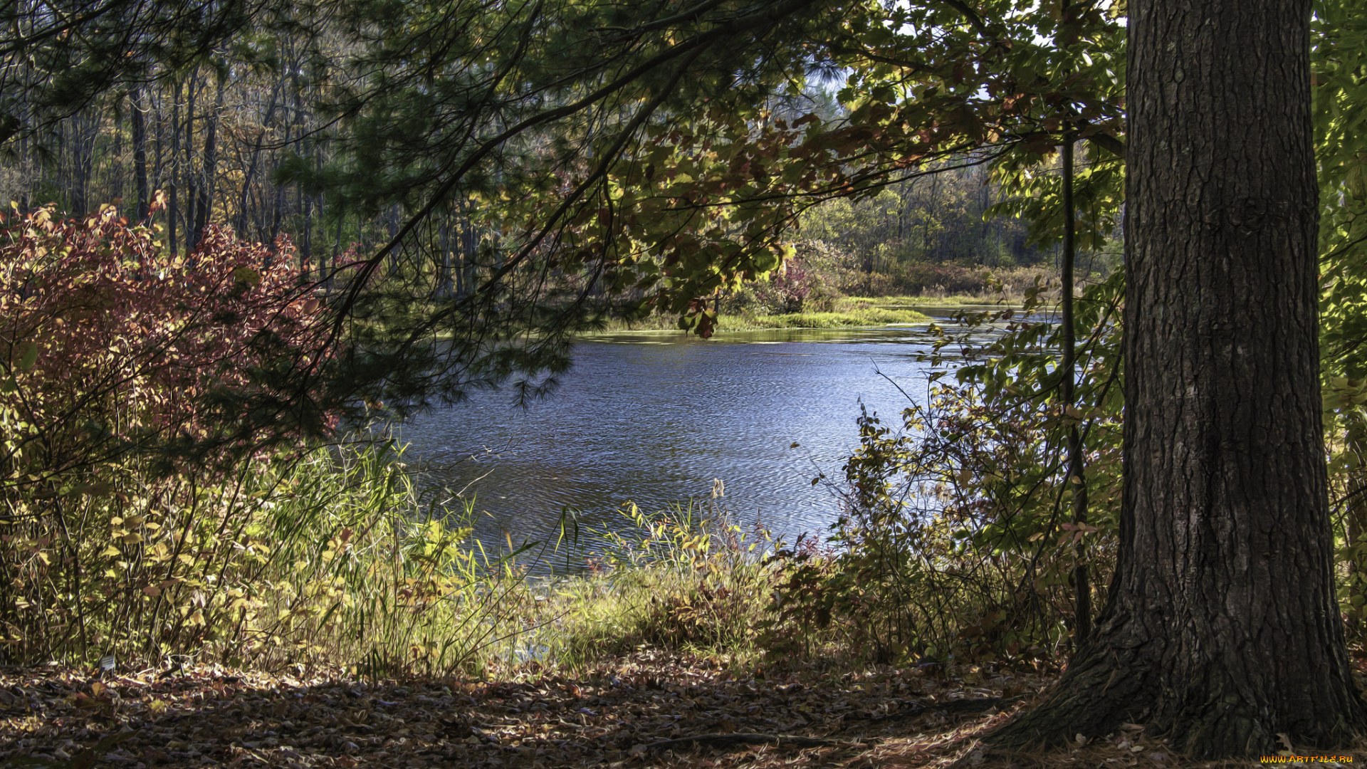 природа, реки, озера, простор