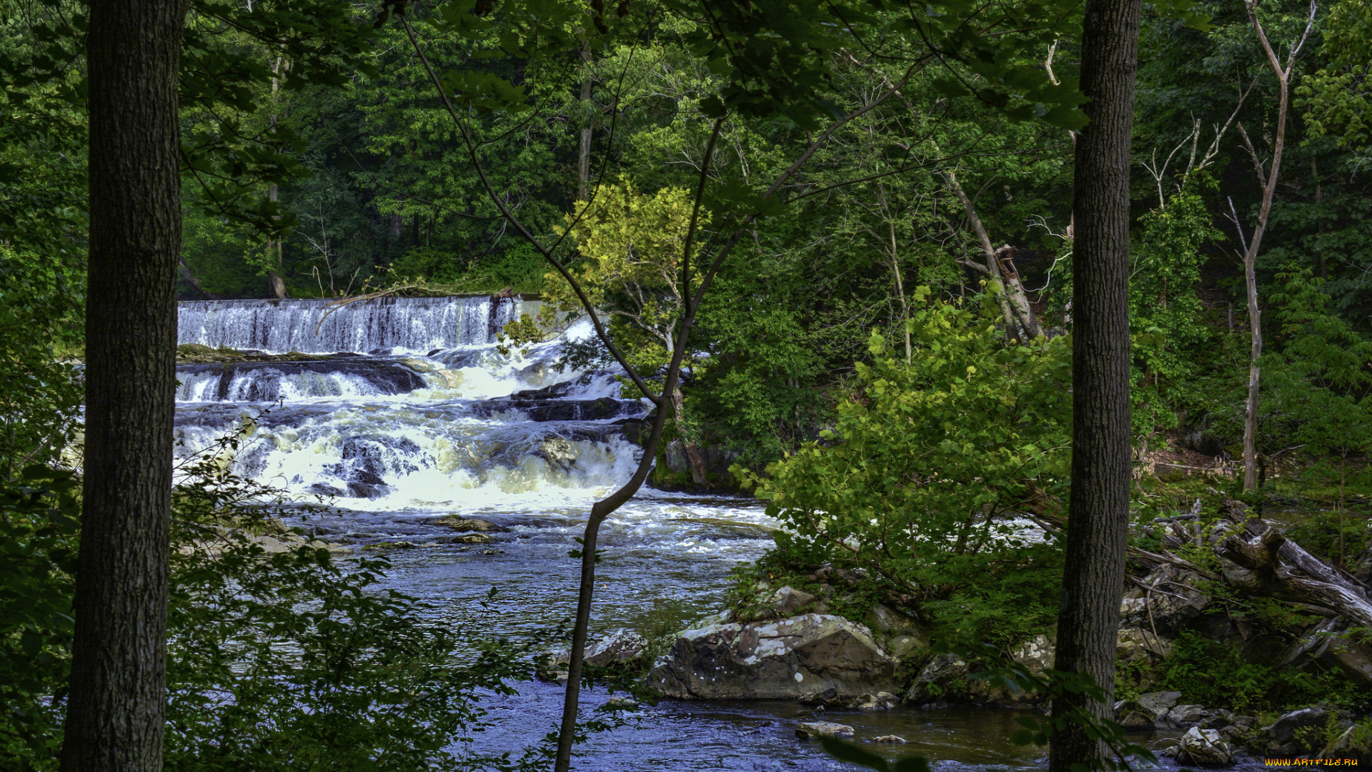 природа, реки, озера, простор