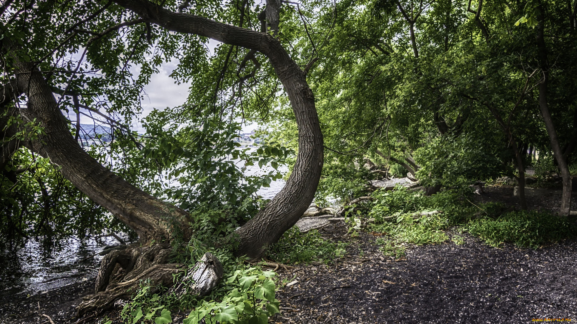 природа, реки, озера, простор