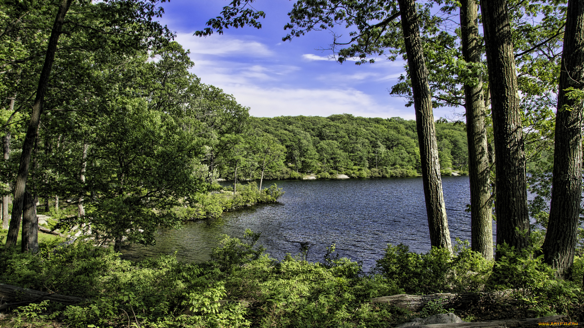 природа, реки, озера, простор