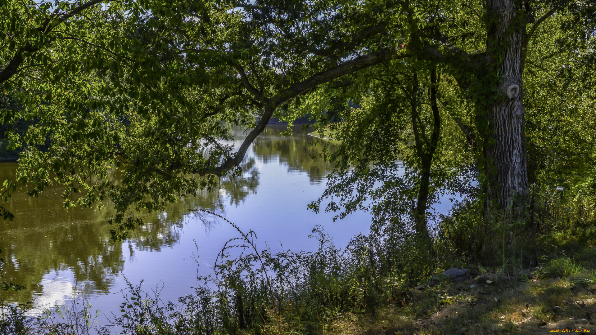 природа, реки, озера, простор