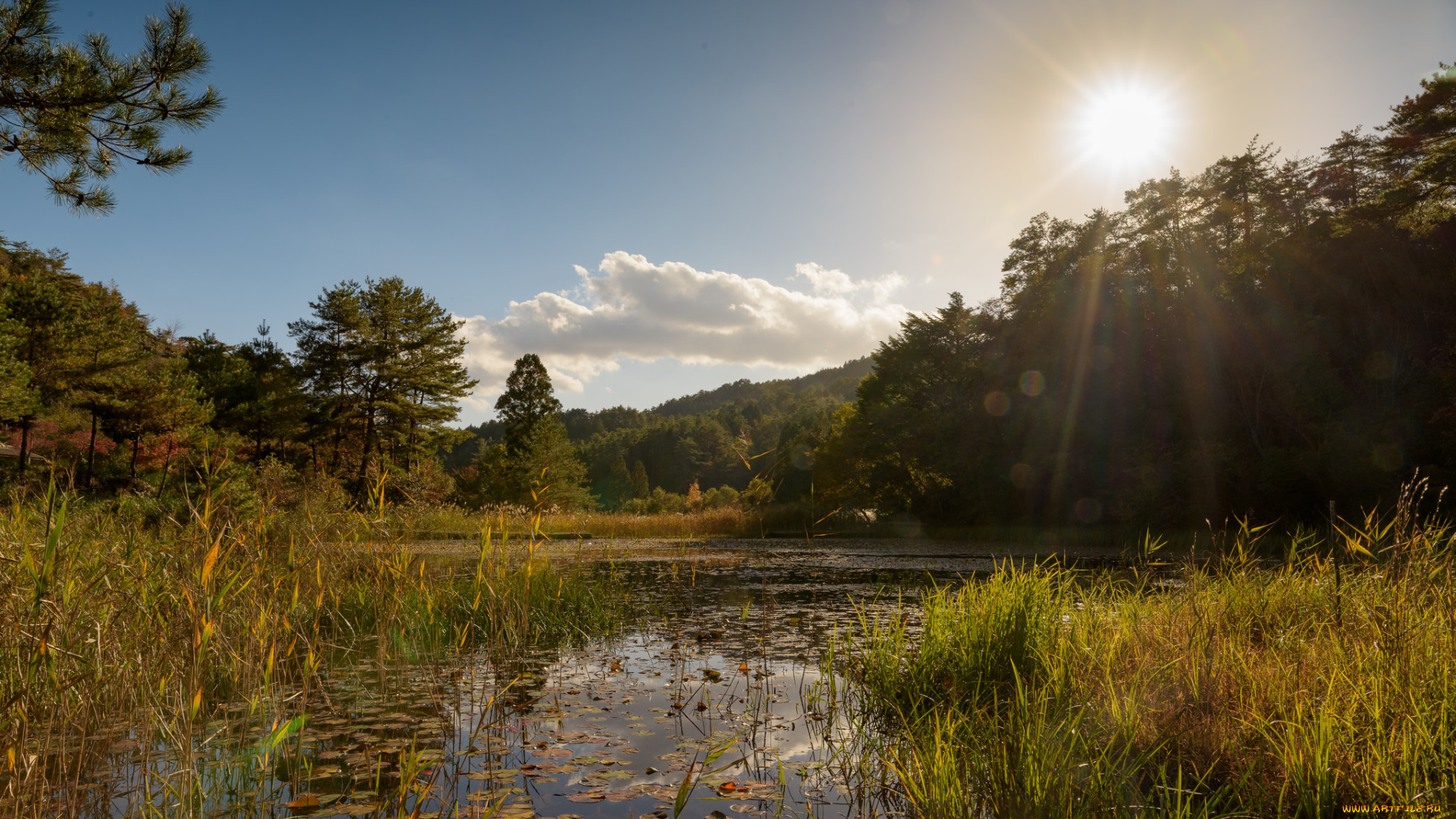 природа, реки, озера, простор