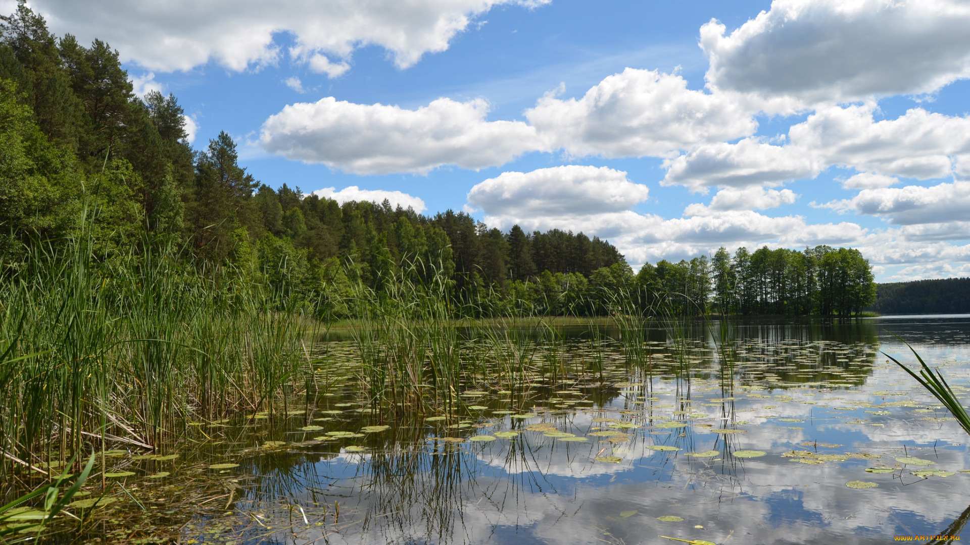 природа, реки, озера, простор