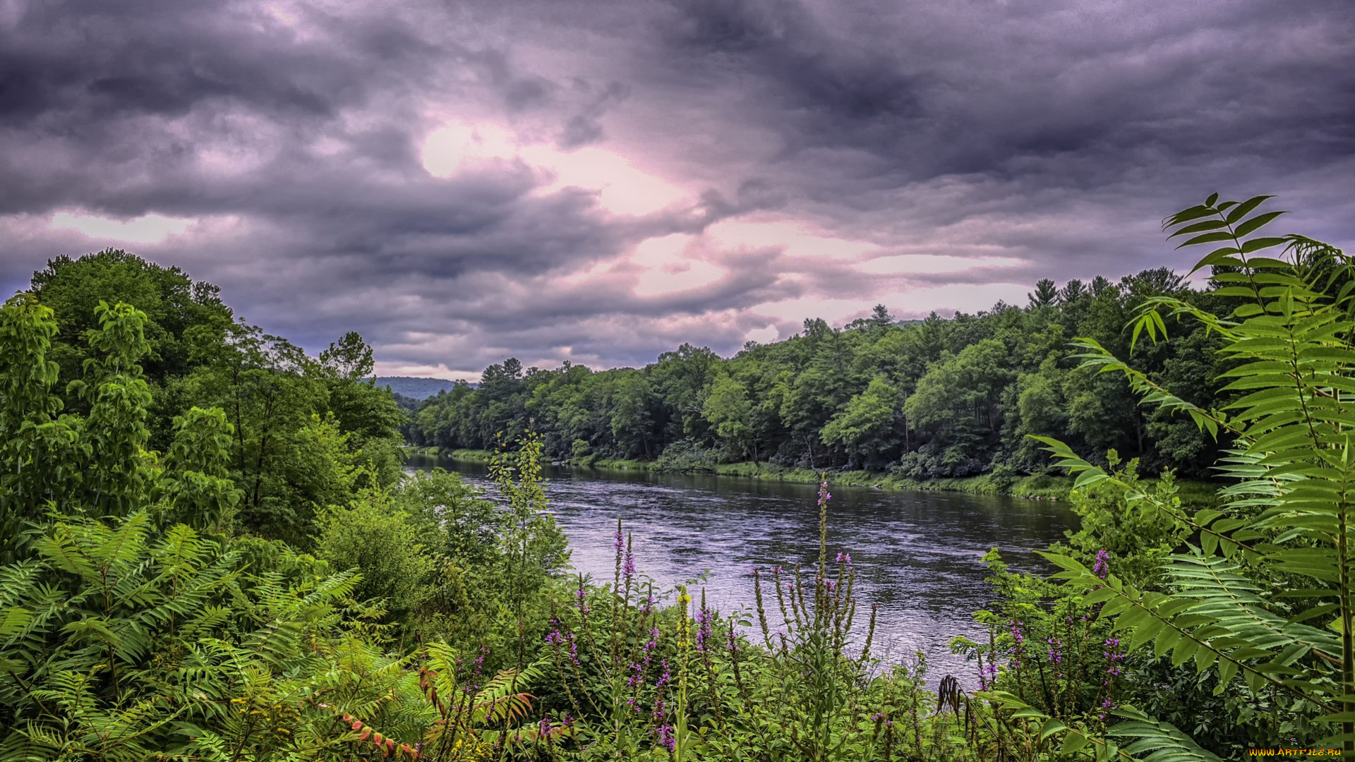 природа, реки, озера, простор