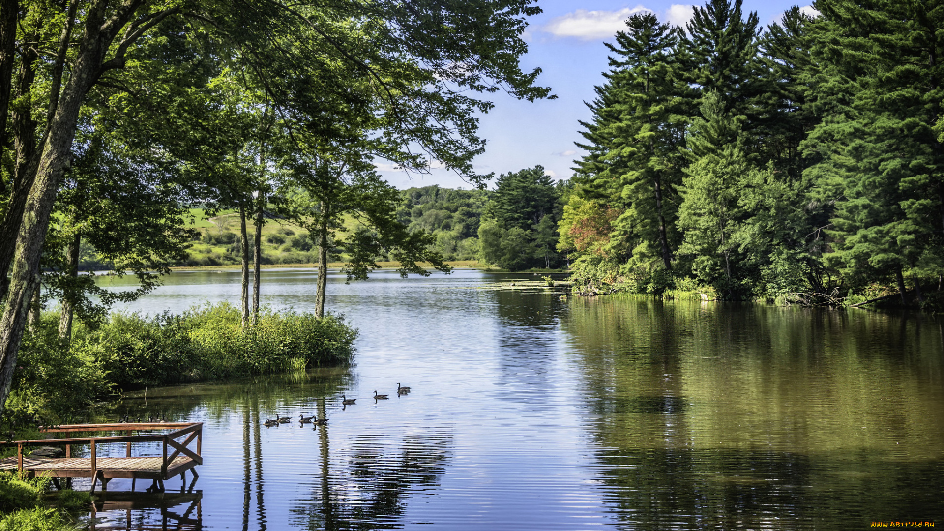 природа, реки, озера, простор