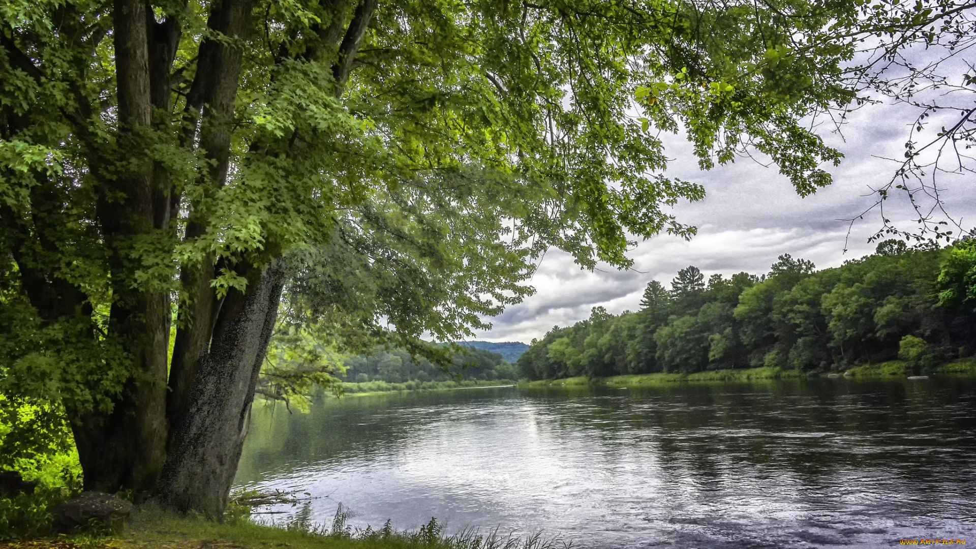 природа, реки, озера, простор