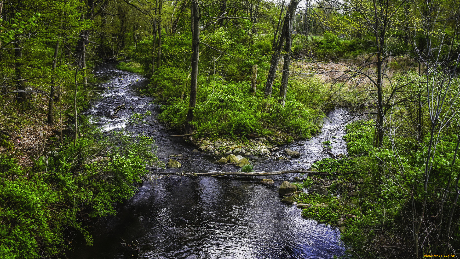 природа, реки, озера, простор