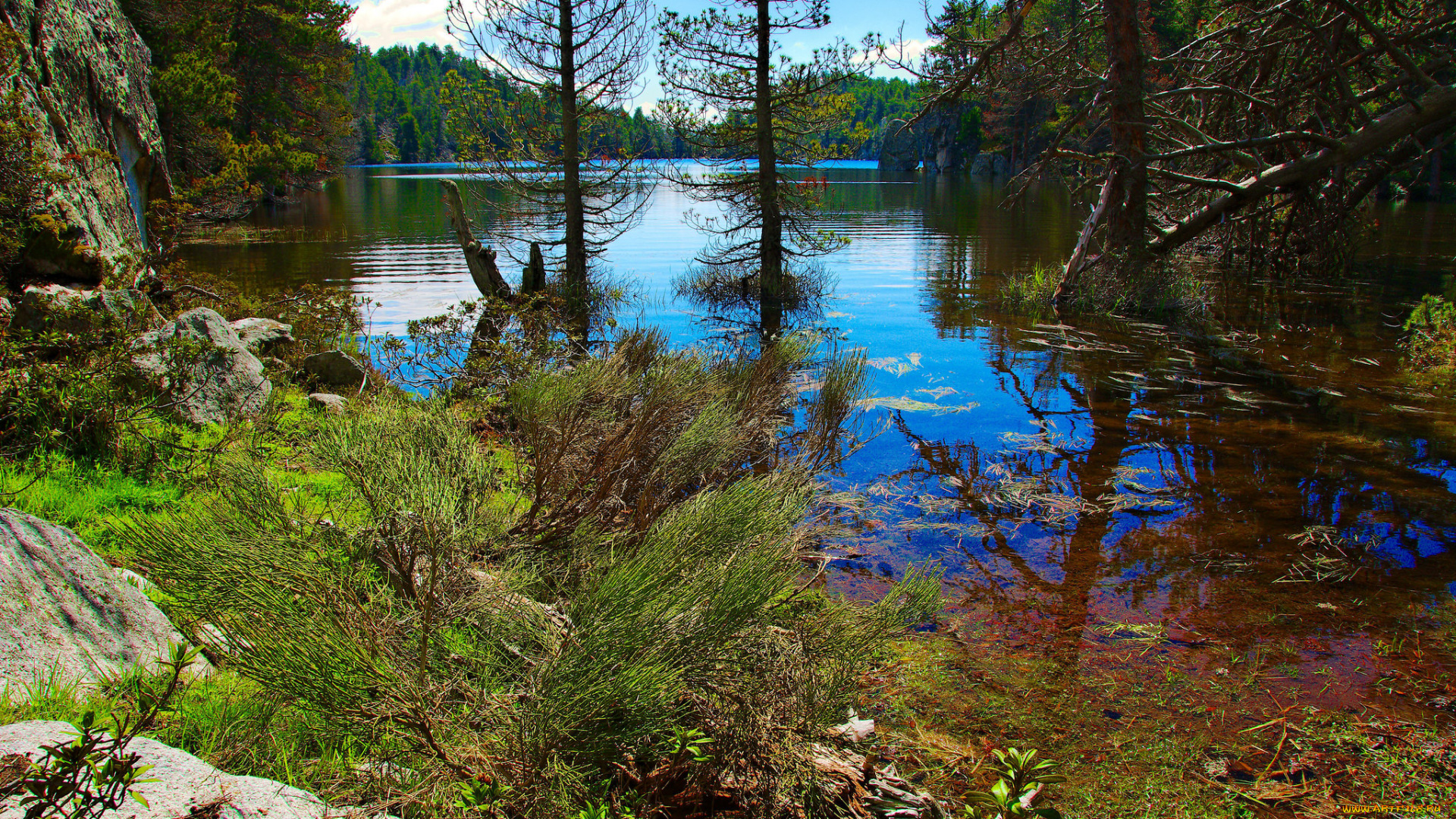 природа, реки, озера, простор