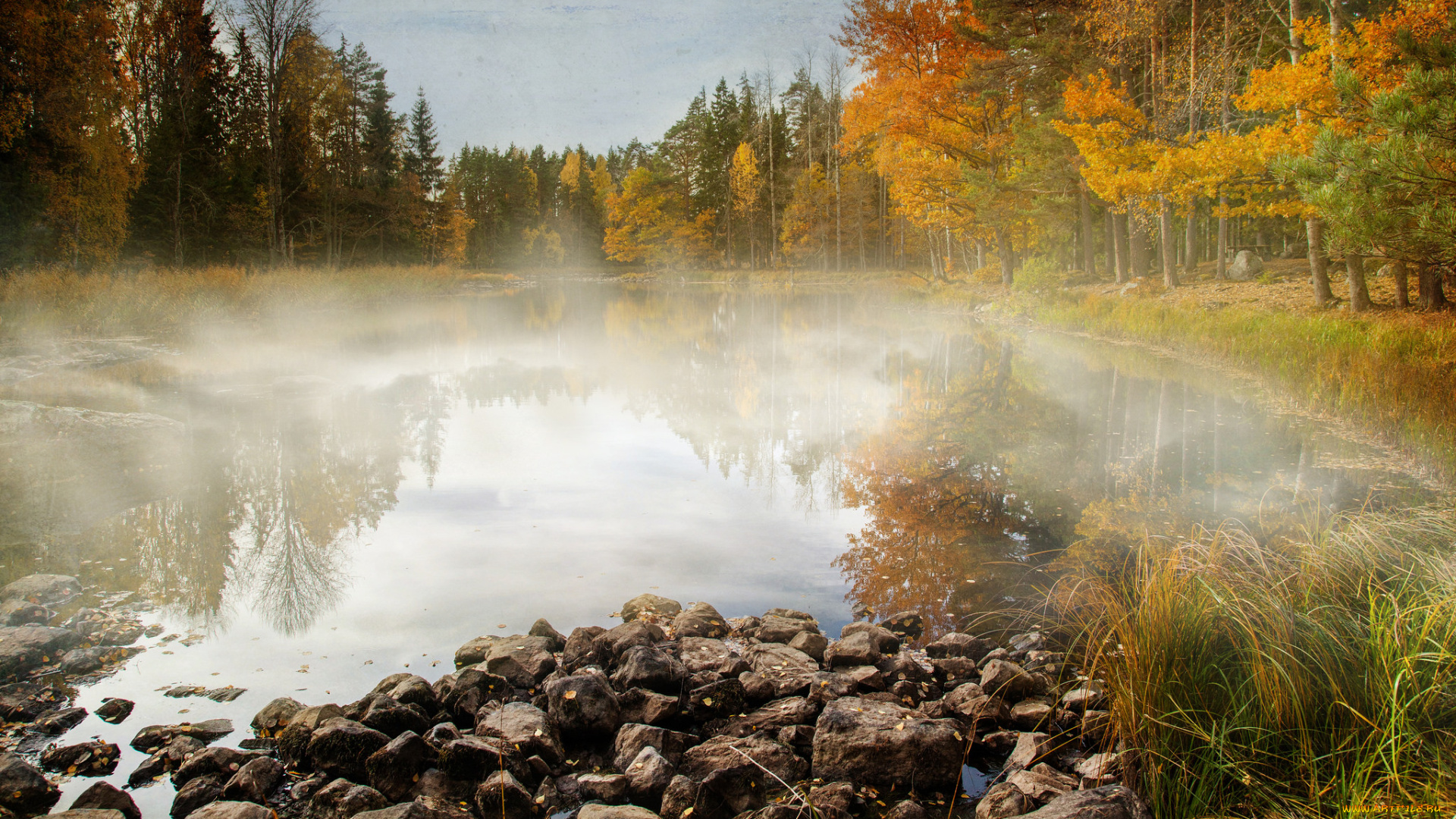 природа, реки, озера, простор