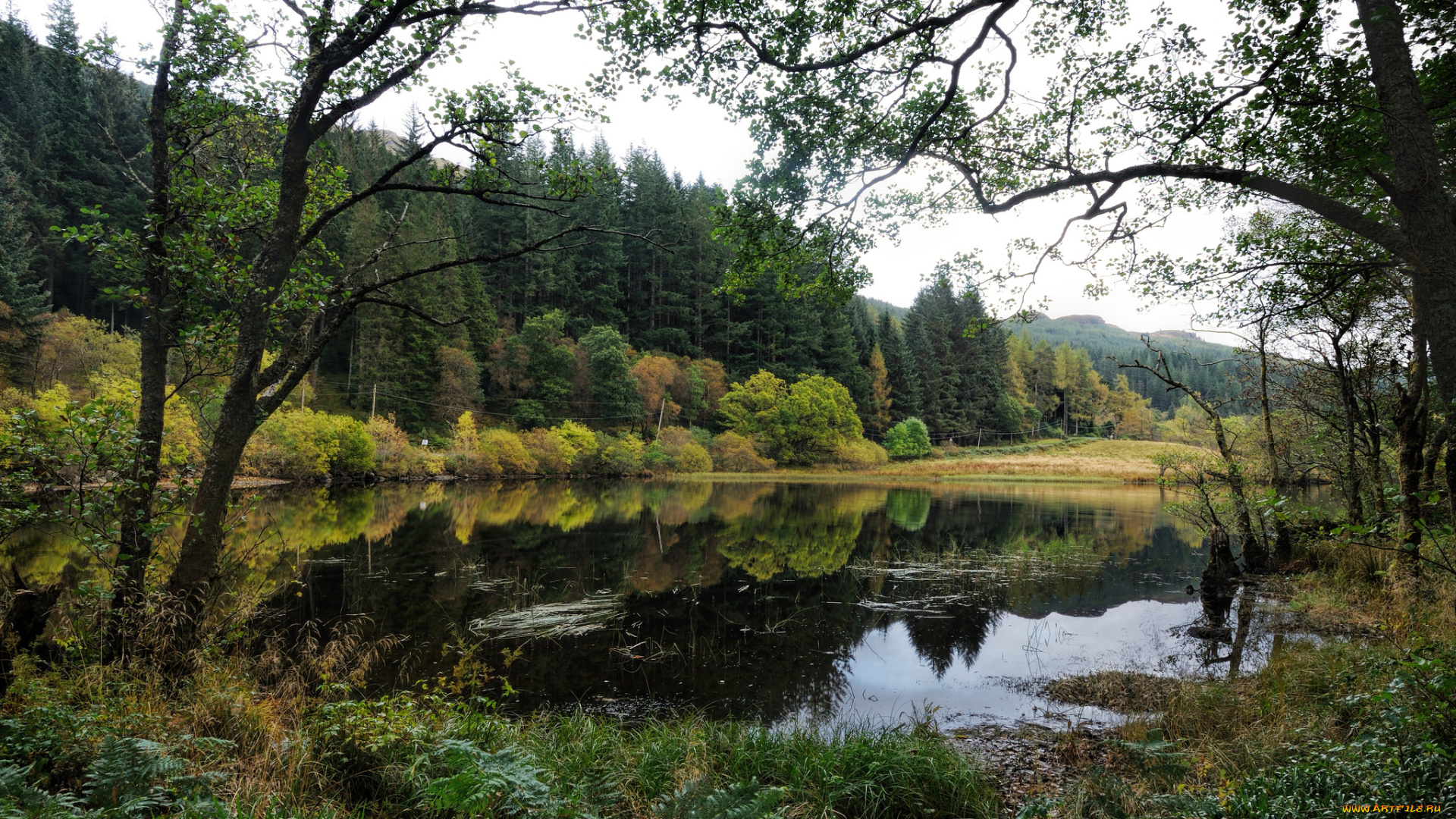 природа, реки, озера, простор