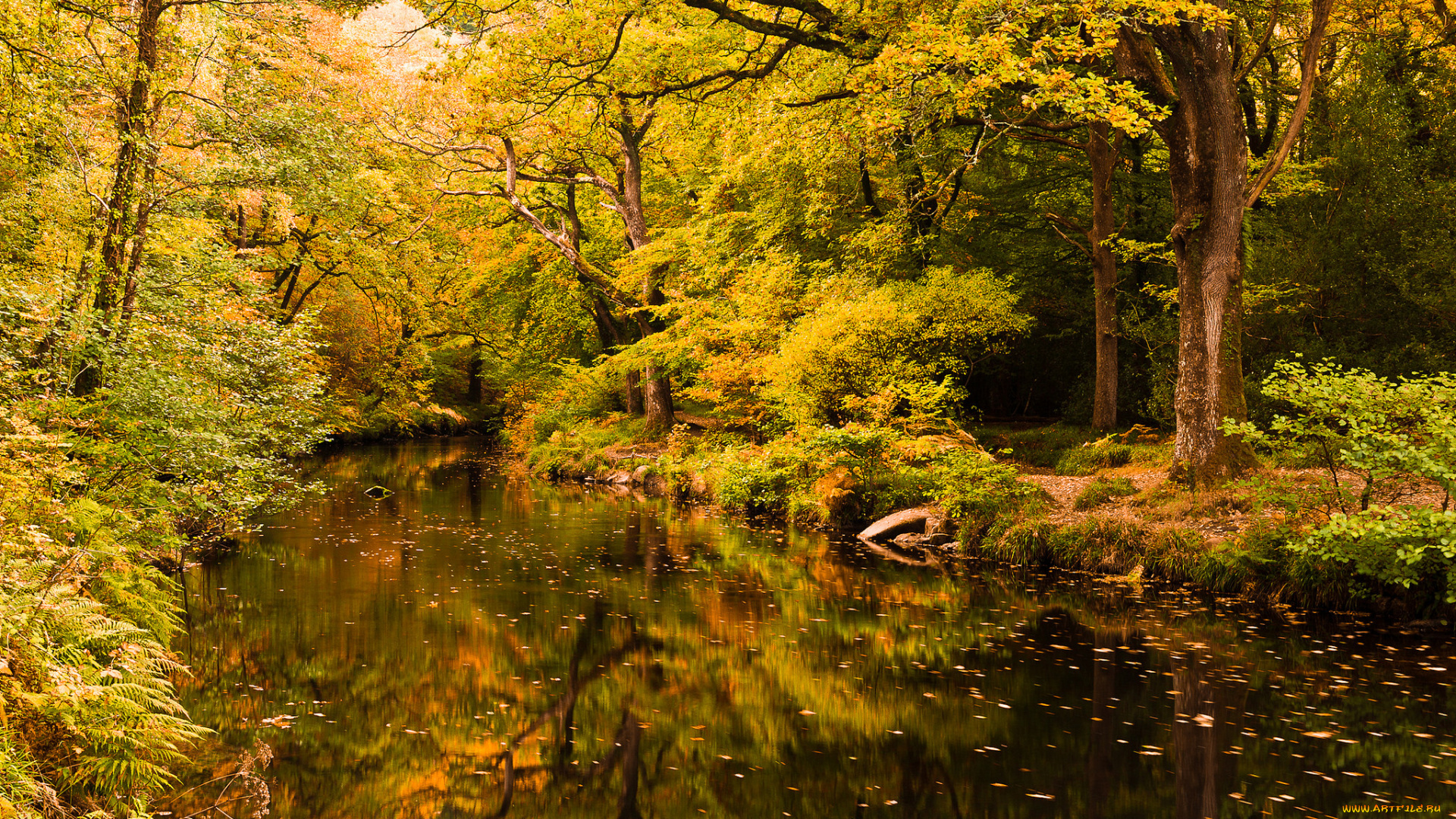 природа, реки, озера, простор