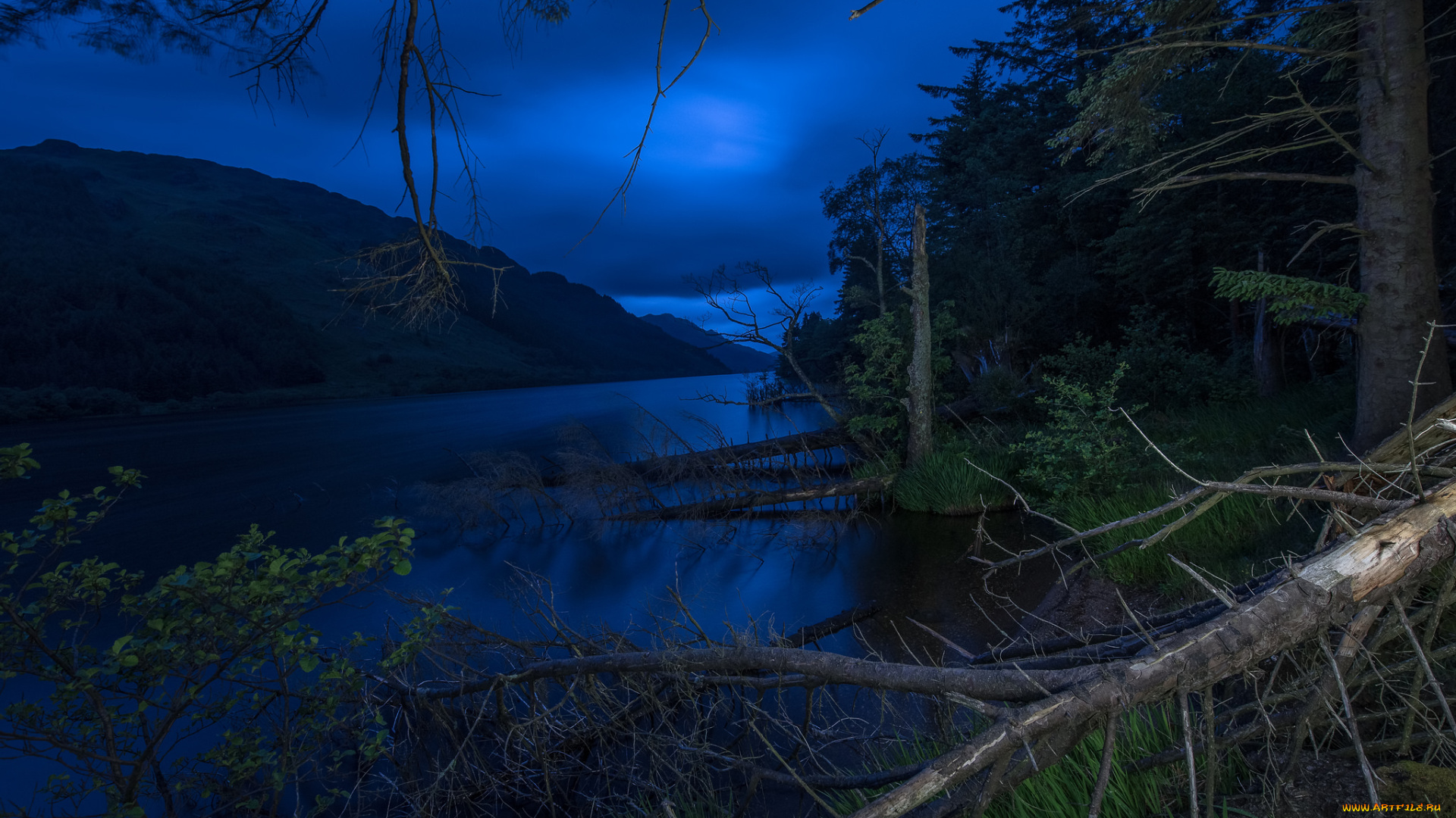 природа, реки, озера, простор