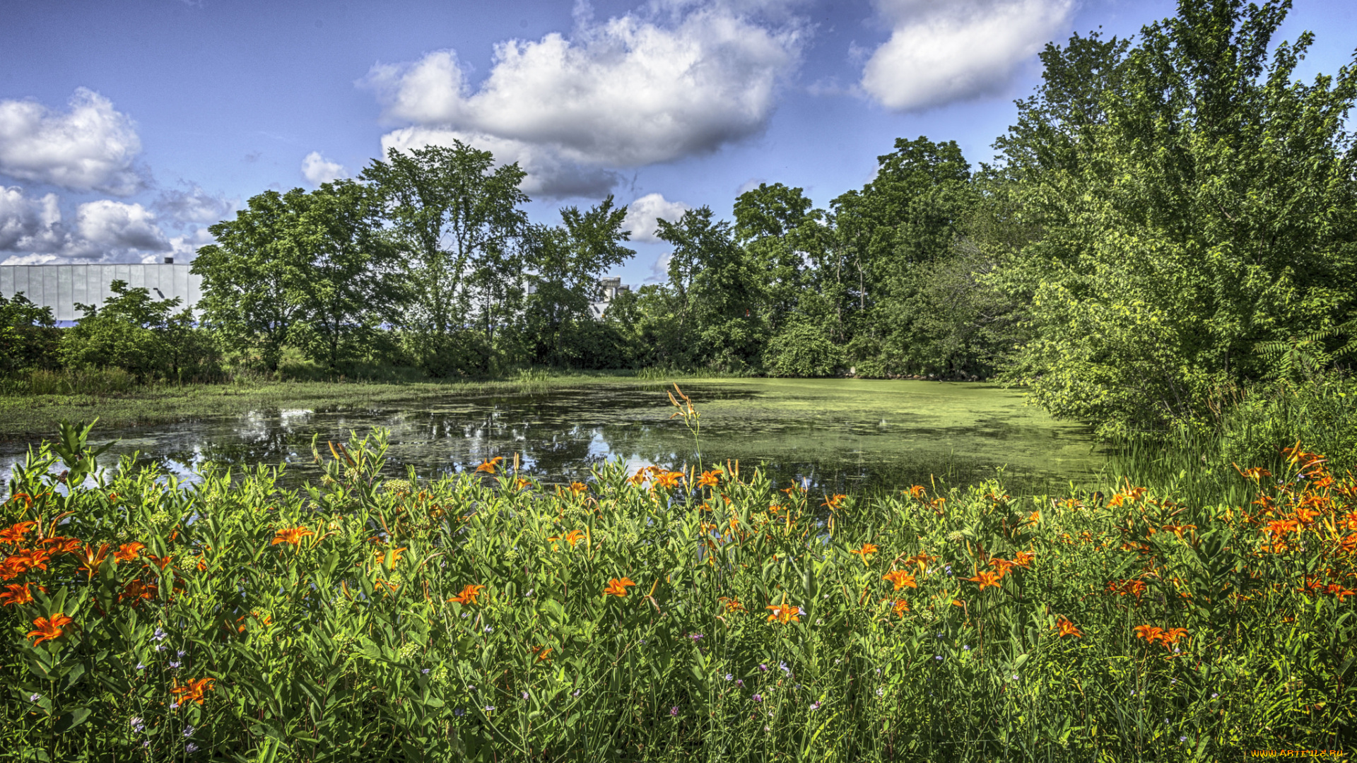 природа, реки, озера, простор