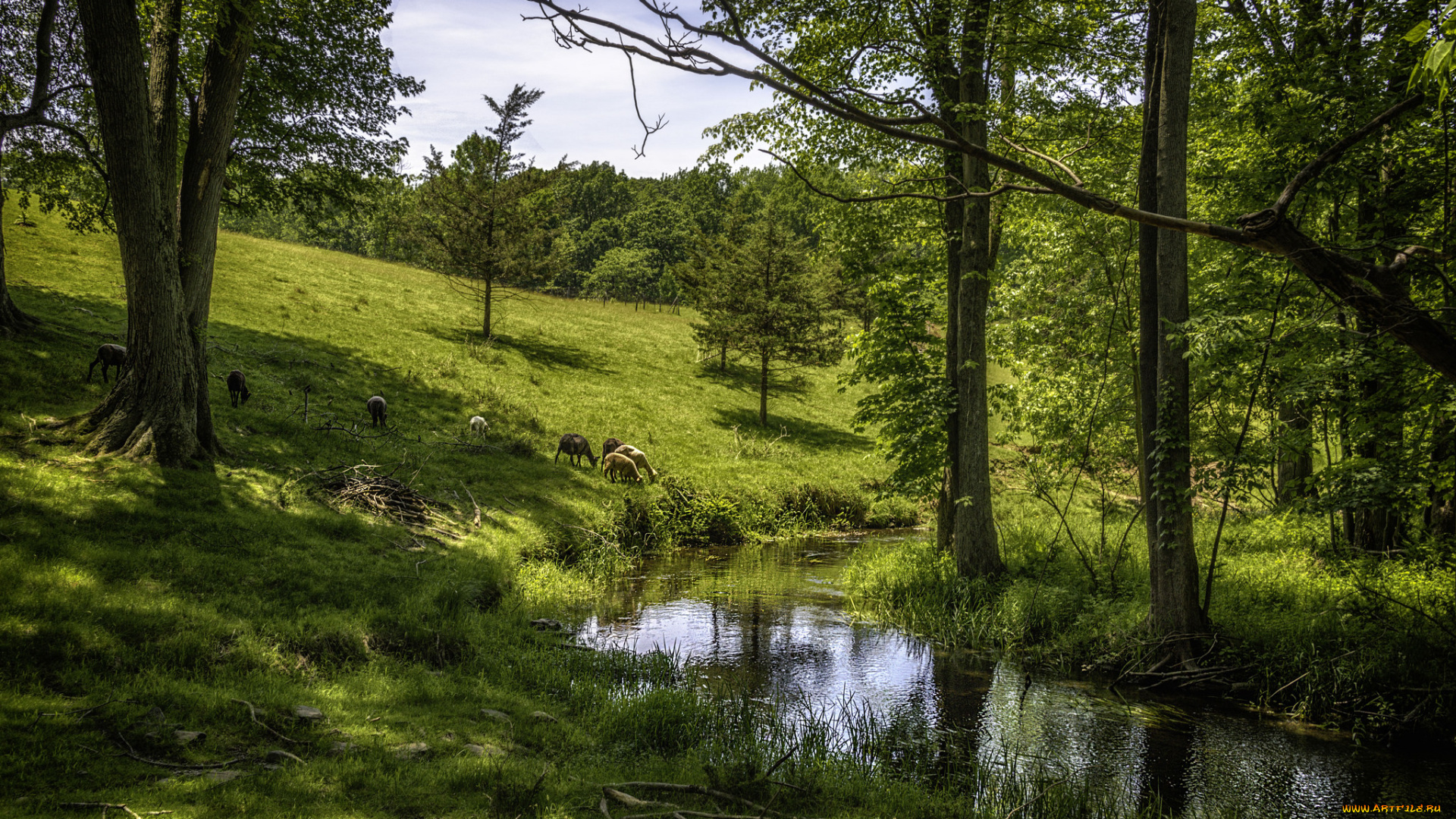 природа, реки, озера, простор