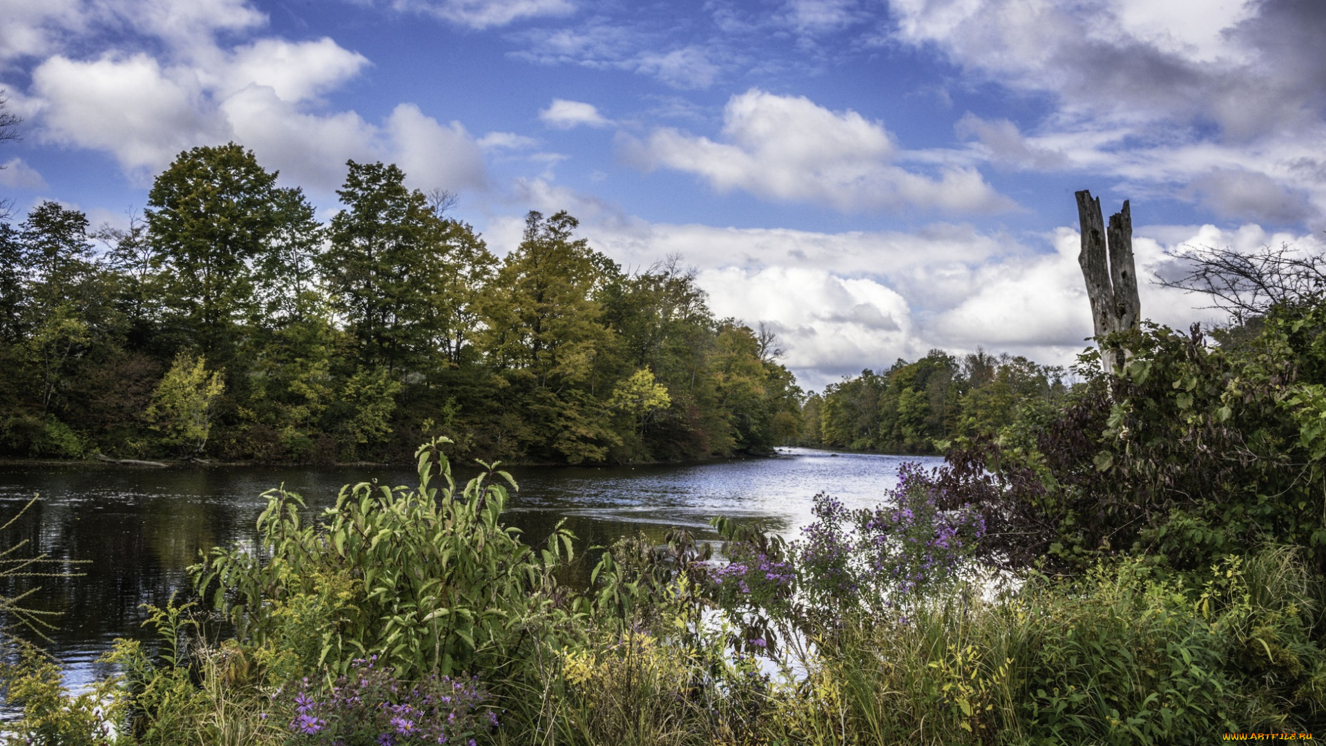 природа, реки, озера, простор
