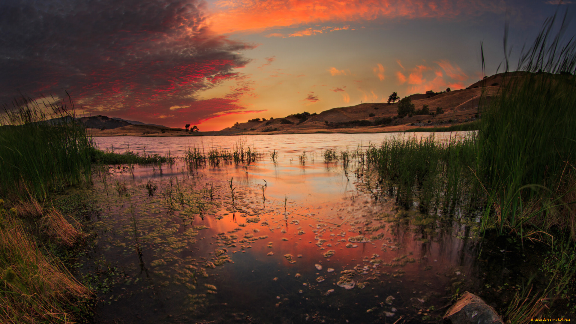 природа, реки, озера, простор