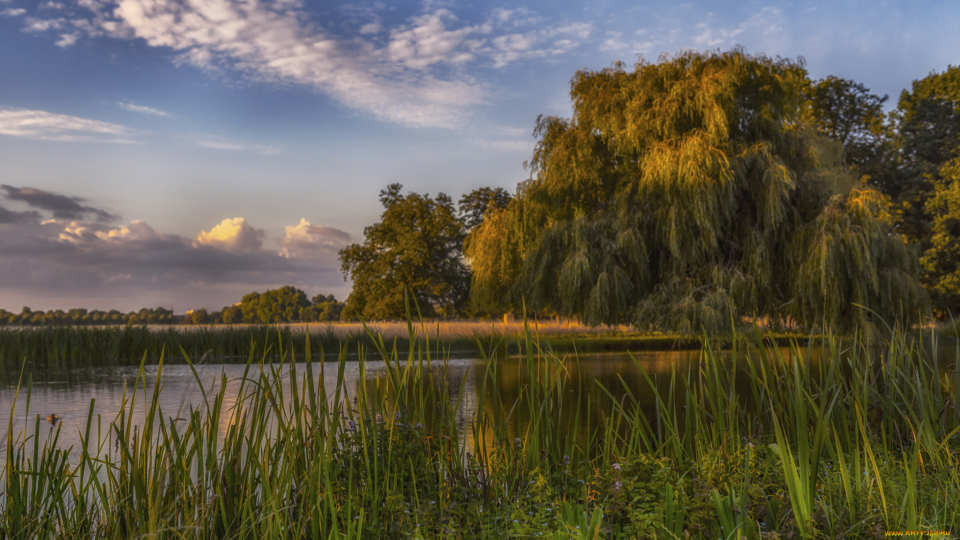 природа, реки, озера, простор