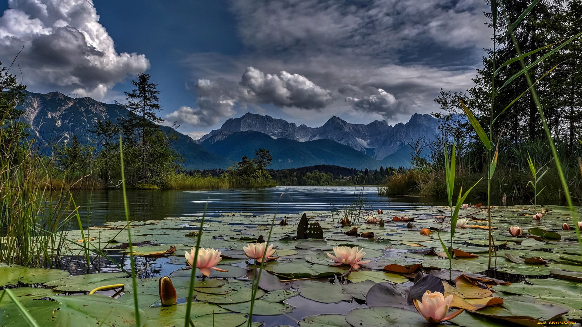 природа, реки, озера, простор