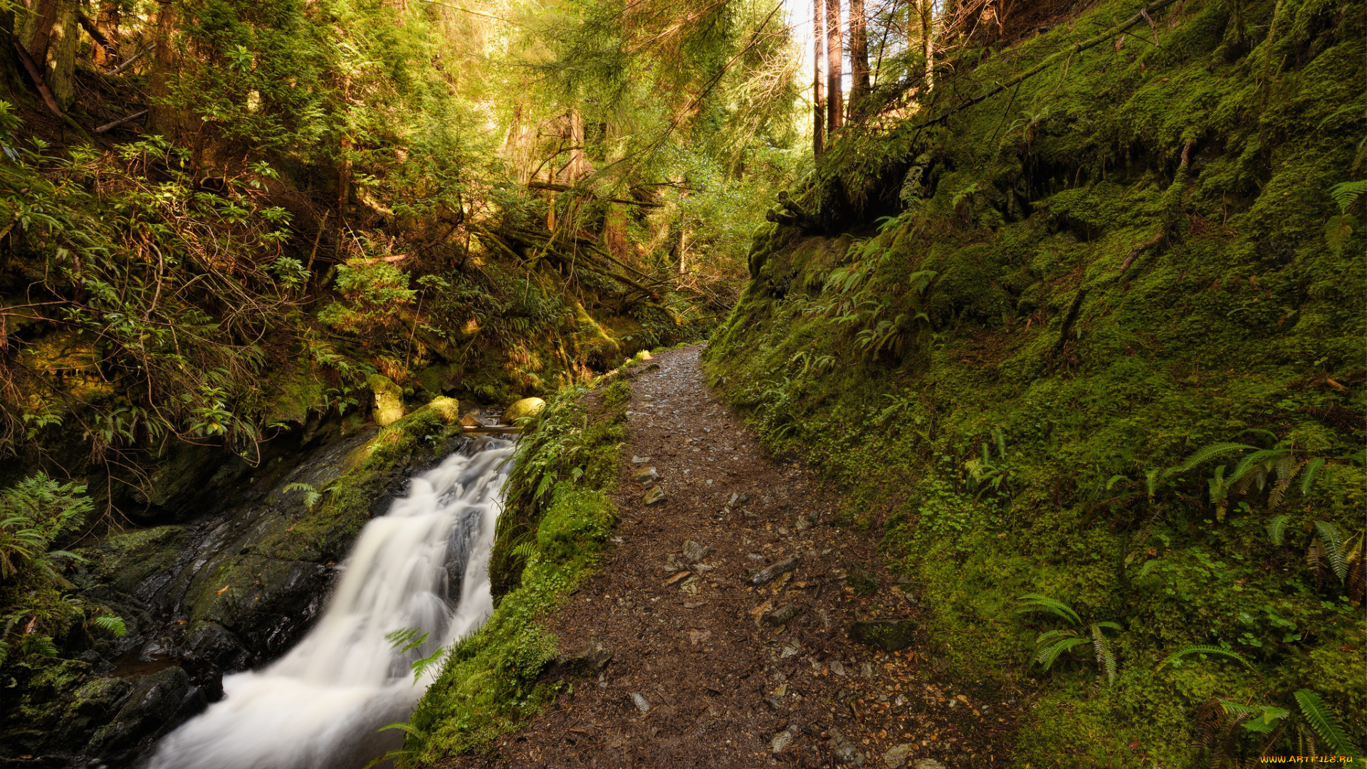природа, водопады, простор