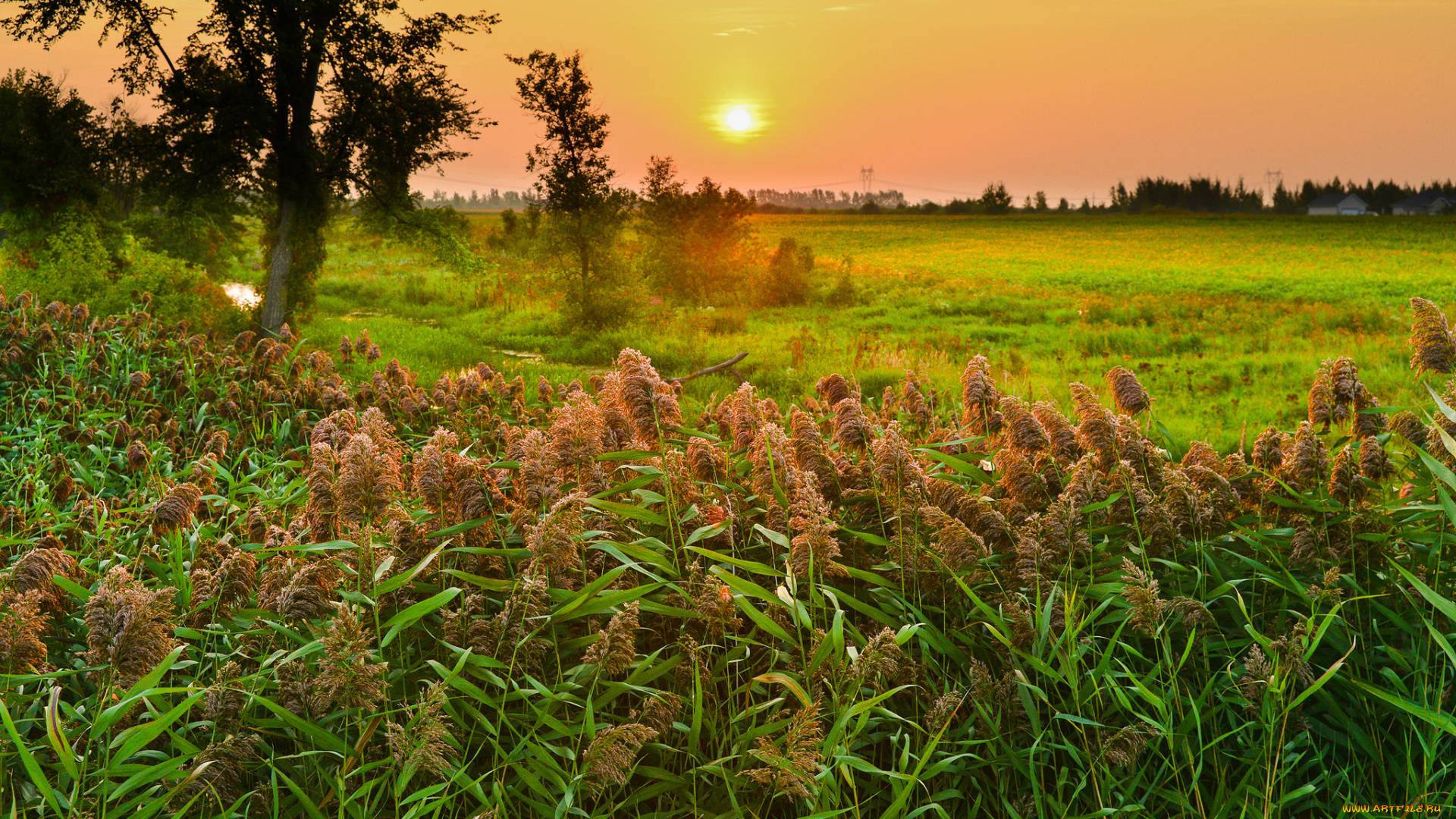 природа, восходы, закаты, простор