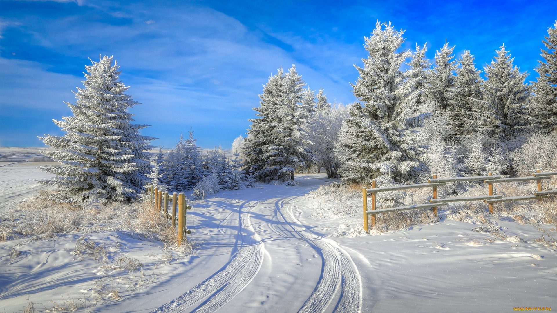 природа, зима, простор