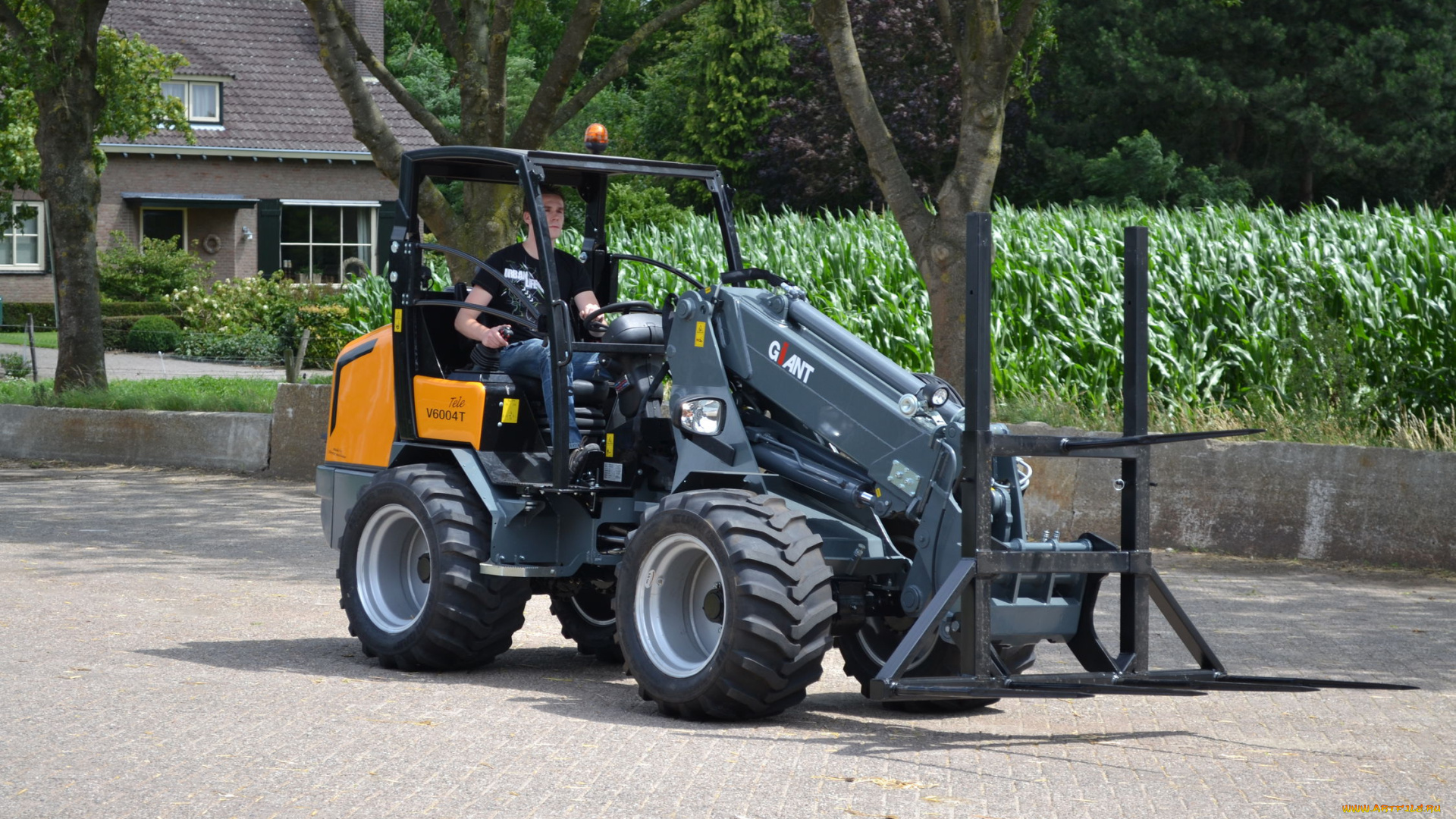 техника, фронтальные, погрузчики, giant